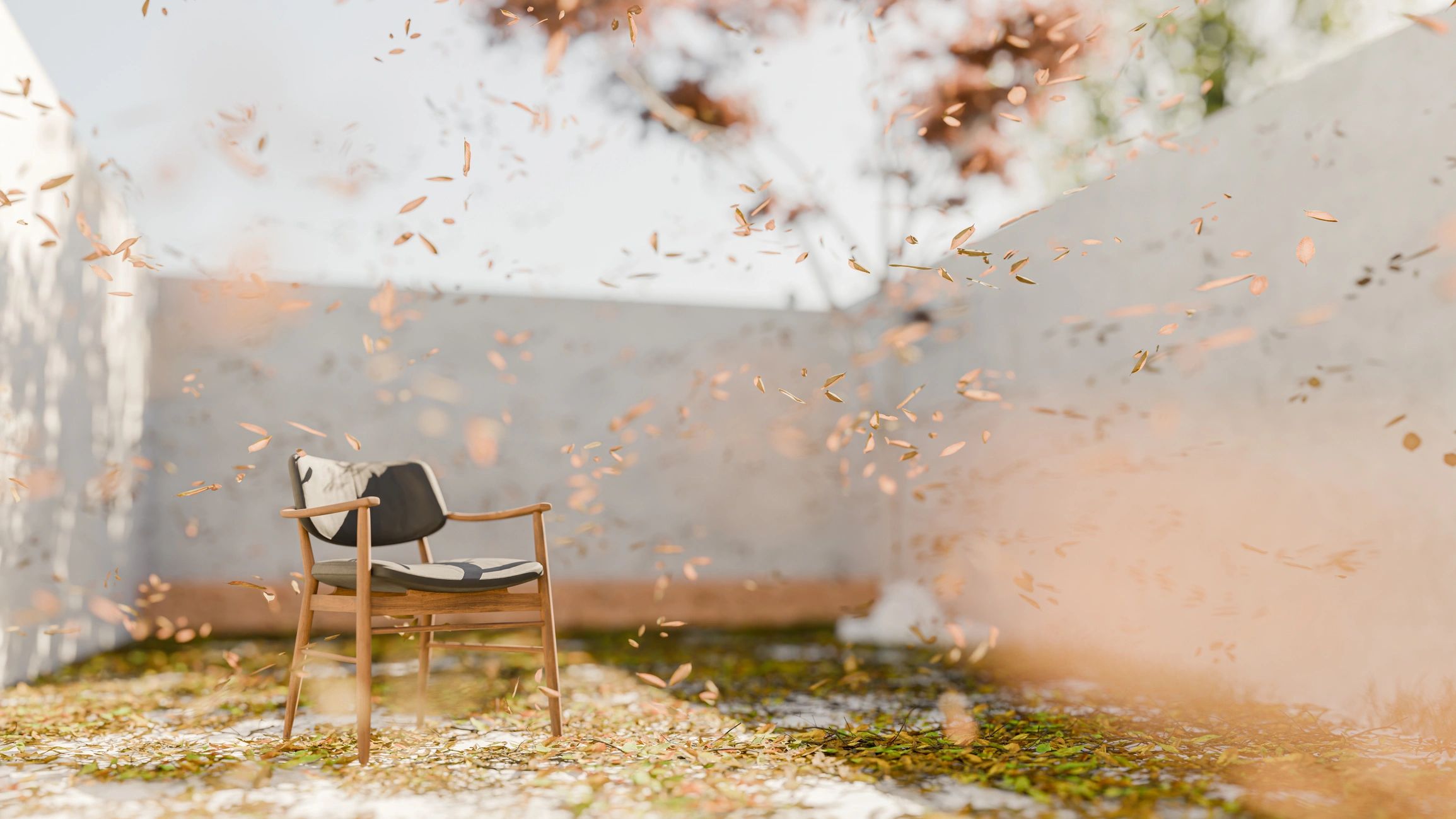 Peaceful nature scene used as a calming privacy policy visual